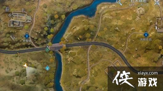 ���������ѡ�������������������