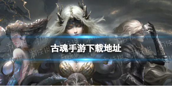 �Ż��������ص�ַ