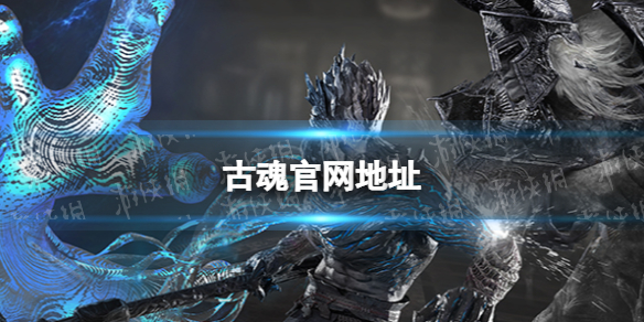 �Ż������ַ