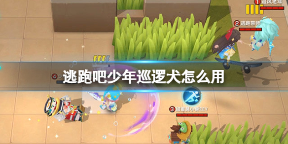 ���ܰ�����Ѳ��Ȯ��ô��