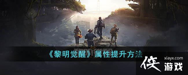 ���������ѡ�������������