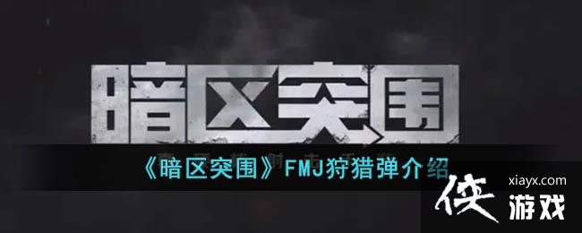 ������ͻΧ��FMJ���Ե�����