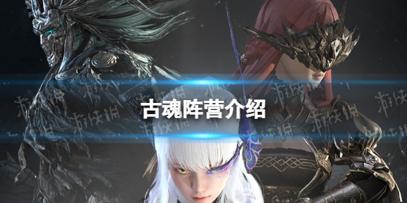 �Ż���Ӫ����