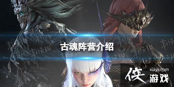 �Ż���Ӫ����