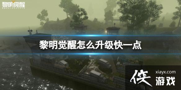 黎明觉醒怎么升级快一点 黎明觉醒怎么升级快一点