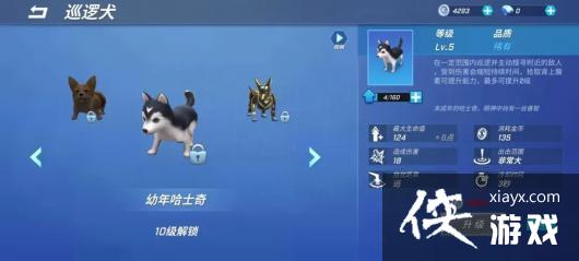 �����ܰ����꡷Ѳ��Ȯ�淨����