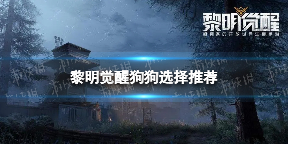 �������ѹ���ôѡ