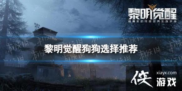 �������ѹ���ôѡ