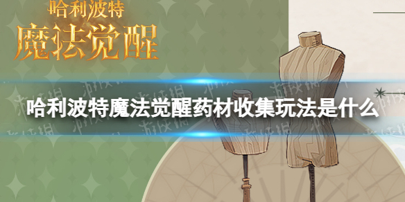 ��������ħ������ҩ���ռ��淨��ô��