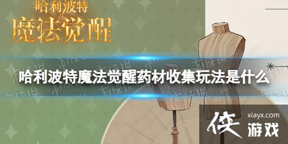 ��������ħ������ҩ���ռ��淨��ô��