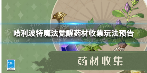 ��������ħ������ҩ���ռ��淨ָ��