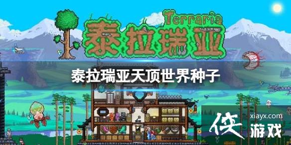 ̩�������춥��������