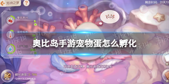 �±ȵ����γ��ﵰ��ô����