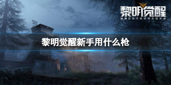 ��������������ʲôǹ