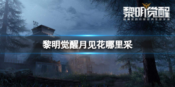 ���������¼��������