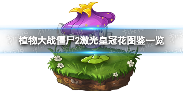 ֲ���ս��ʬ2����ʹڻ���ô��