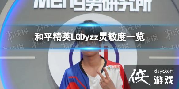 ��ƽ��ӢLGDyzz������