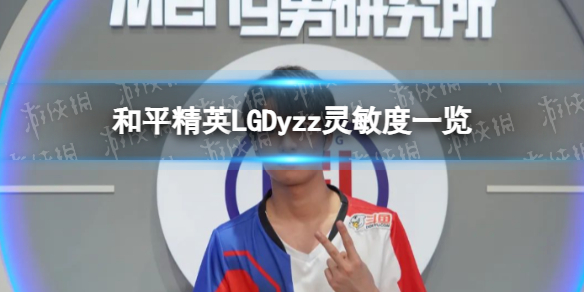 ��ƽ��ӢLGDyzz������