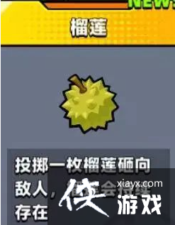 �������ع��ӡ��������ܽ���