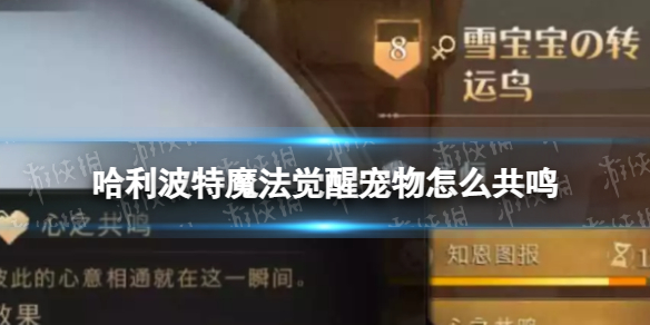 ��������ħ�����ѳ�����ô����