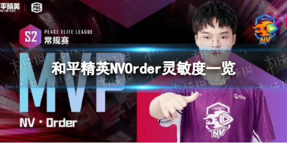 ��ƽ��ӢNVOrder������