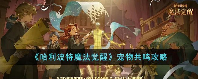 ����������ħ�����ѡ����ﹲ������