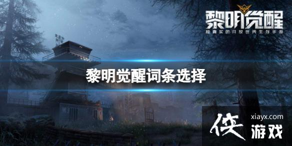 �������Ѵ���ѡ��