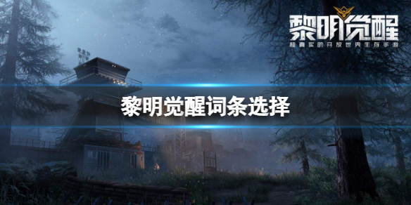 �������Ѵ���ѡ��