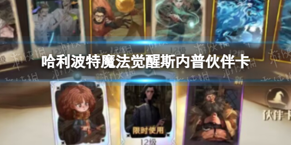 ��������ħ������˹���ջ�鿨��ô��