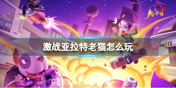 ��ս��������è��ô��