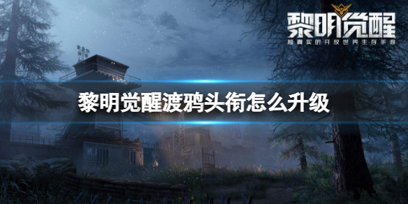 �������Ѷ�ѻͷ����ô����