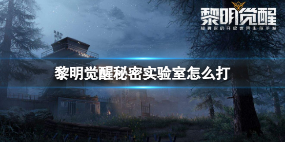 ������������ʵ������ô��