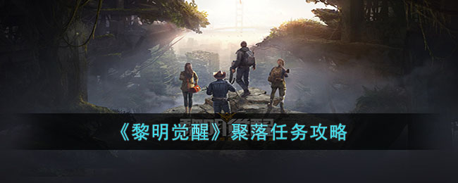 ���������ѡ�����������