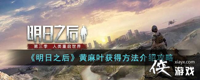 ������֮�󡷻���Ҷ��÷������ܹ���