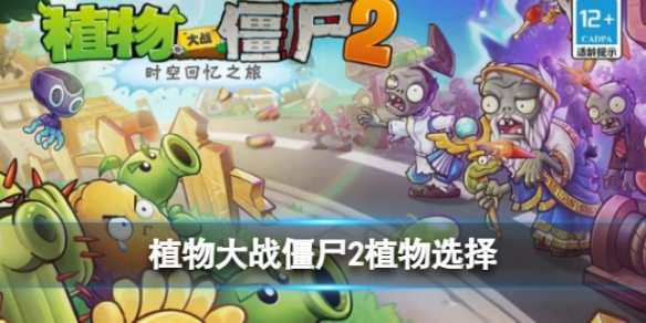 ֲ���ս��ʬ2����ֲ����ôѡ��