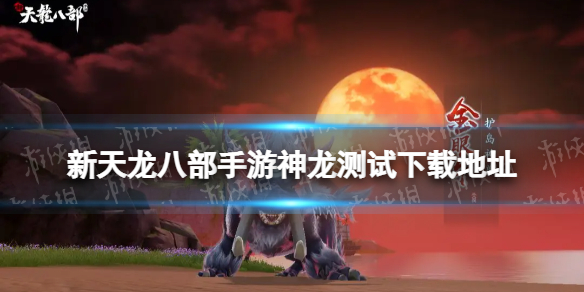 �������˲����������������ص�ַ