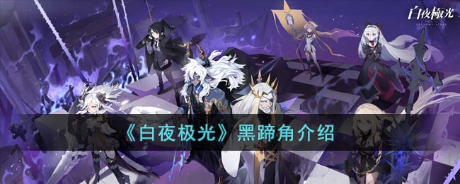 ����ҹ���⡷����ǽ���