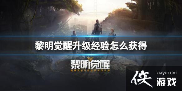 黎明觉醒升级经验怎么获得 黎明觉醒升级经验怎么获得