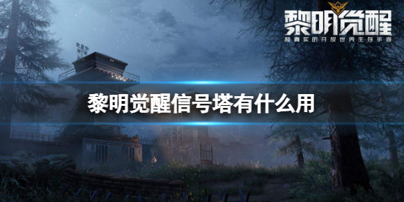 ���������ź�����ʲô��