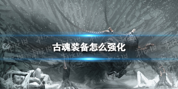 �Ż�װ����ôǿ��