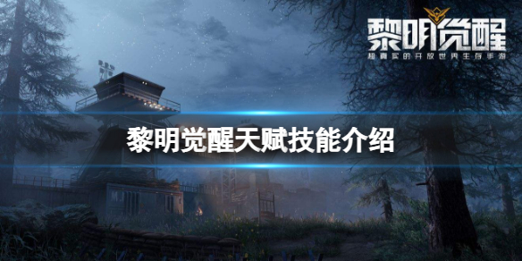 ���������츳���ܽ���