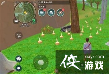 ��������ħ����ը���Ȧ�䷽����