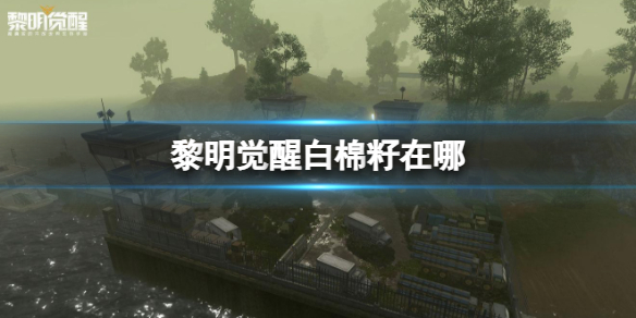 �������Ѱ���������