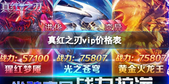 ���֮��vip�۸��