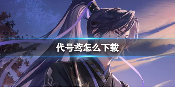 �������ô����