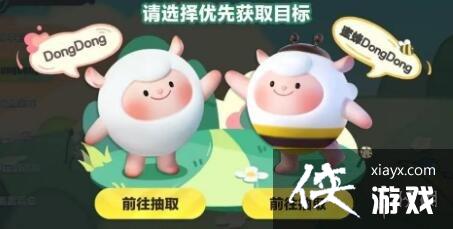 �����ɶ�DongDong����ô���