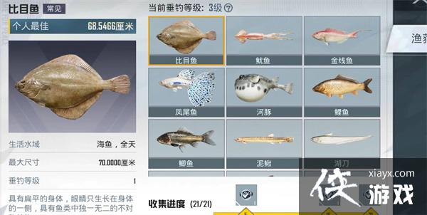 ����ƽ��Ӣ���������紹���ȼ���������