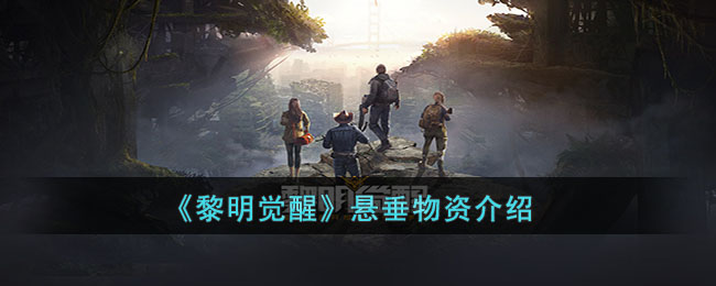 ���������ѡ��������ʽ���