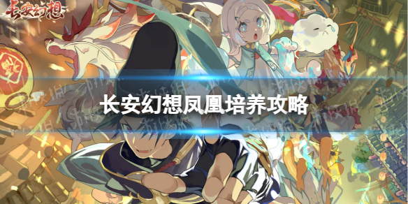 ������������ô����