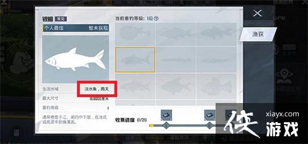 ����ƽ��Ӣ�������������귽��